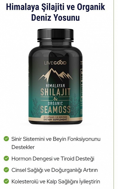Shılajit