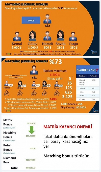 Livegood Kazanç Planı