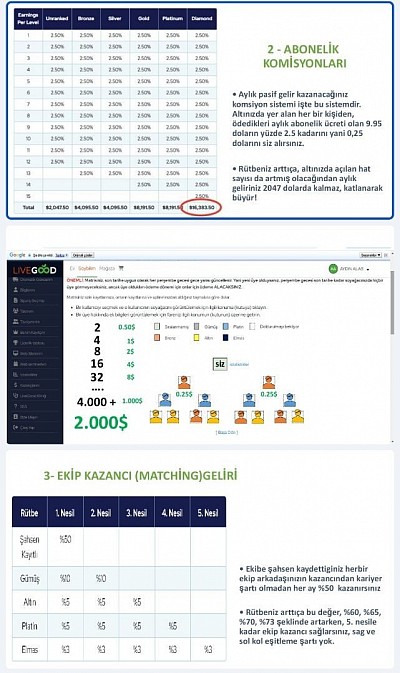 Livegood Kazanç Planı